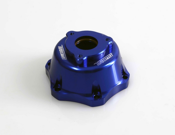 WG50/60 Sensor Cap replacement - Cap Only - Blue